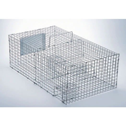 sparrow cage